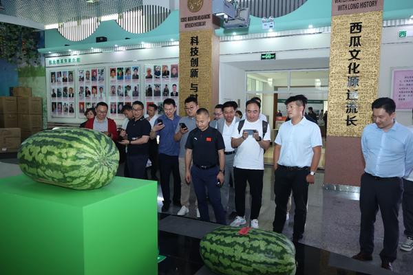 “瓜香引凤聚商机政企联动促发展”北京大兴庞各庄镇2025年西瓜季政企联动产业推介活动圆满举行(图3)