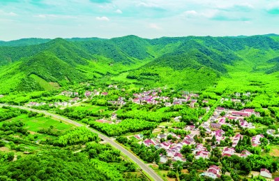 星空体育：江苏省宜兴市丁蜀镇上坝村：茶山竹海传新曲(图2)