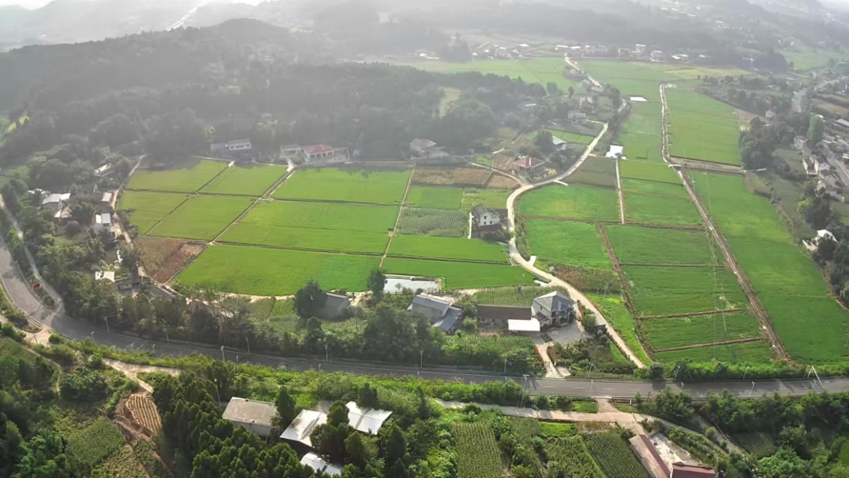 農發行綿陽市分行：護航新時代更高水平“天府糧倉”建設(图1)