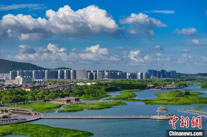 苏超联赛你真是“人均梗王”啊！(图2)