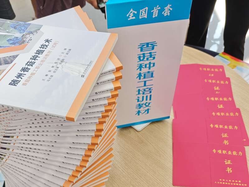 星空体育：活力中国调研行｜湖北：“向上曲线”背后的“活力密码”(图7)