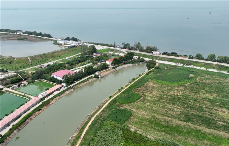 星空体育：风雨之下稳粮仓——河南农业生产的“韧性密码”(图1)