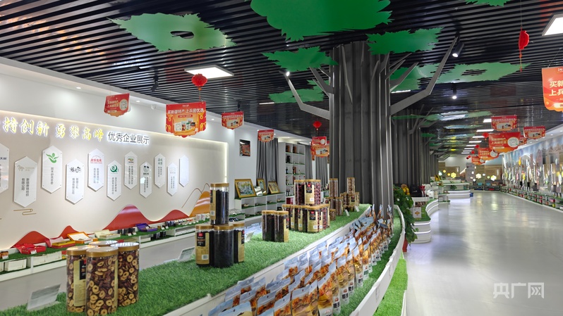 新质新造·兵团丨图木舒克高质量发展步履坚实(图1)