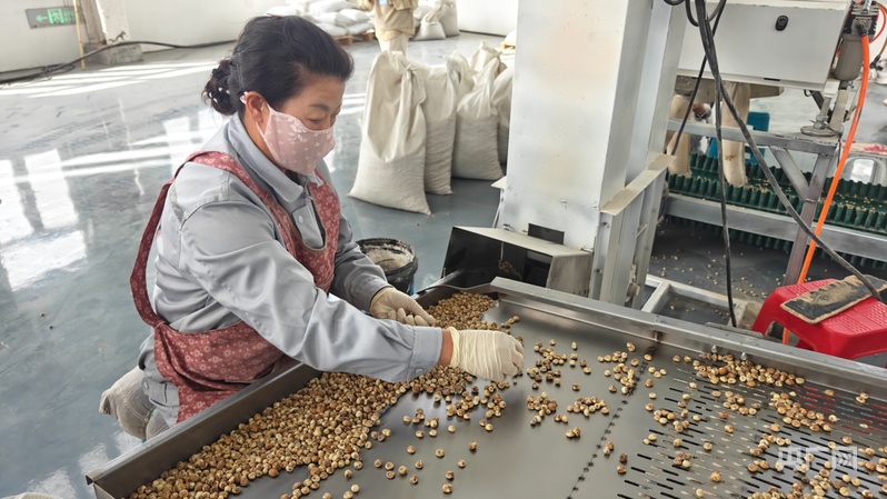 新质新造·兵团丨图木舒克高质量发展步履坚实(图2)