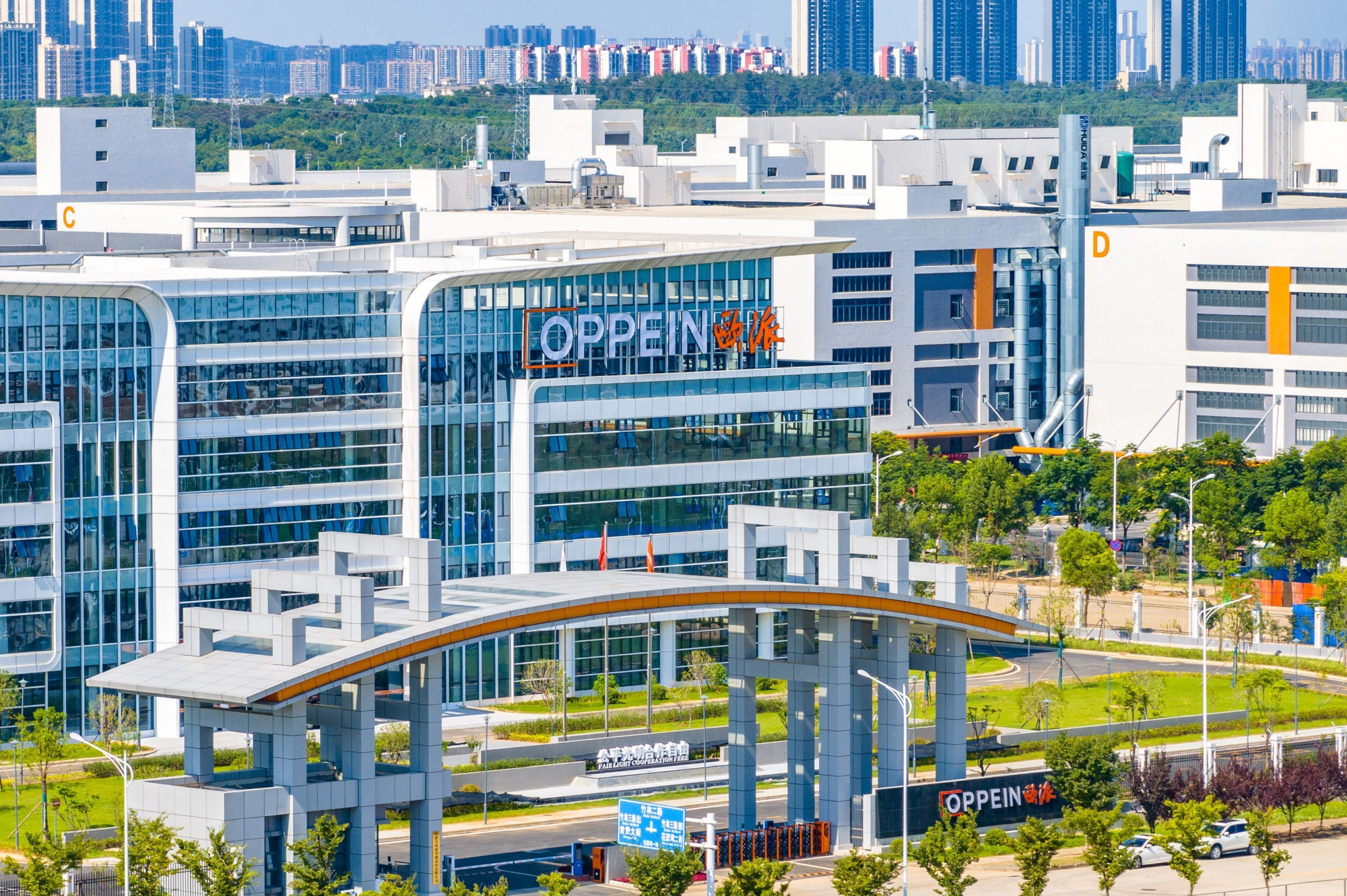 蔡甸：知音故里“蔡甸曲线”昂扬起飞(图1)