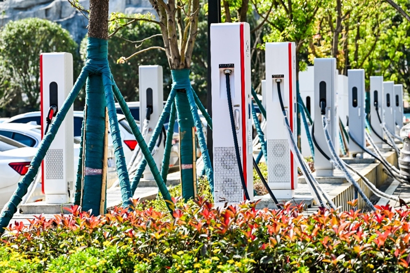 从花江峡谷大桥出发:探访“多彩贵州移起向新”(图5)