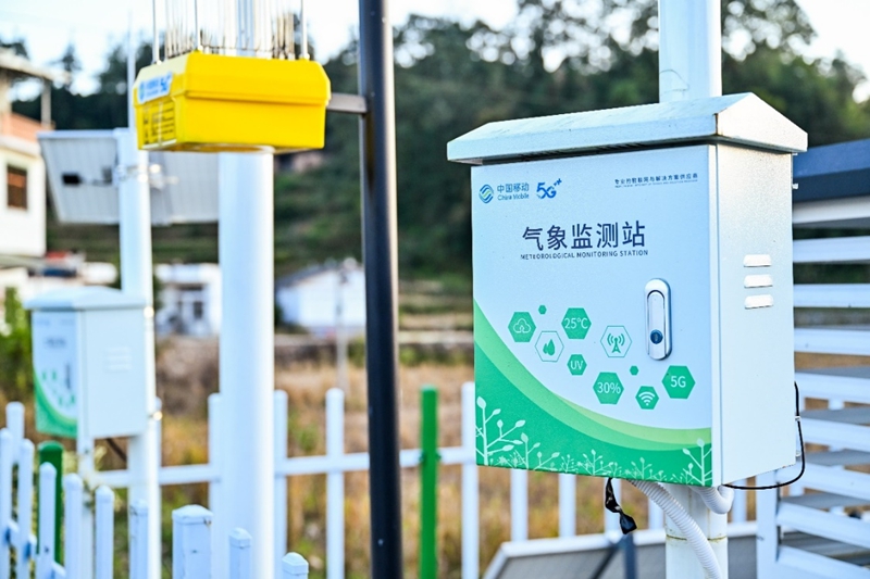 从花江峡谷大桥出发:探访“多彩贵州移起向新”(图13)