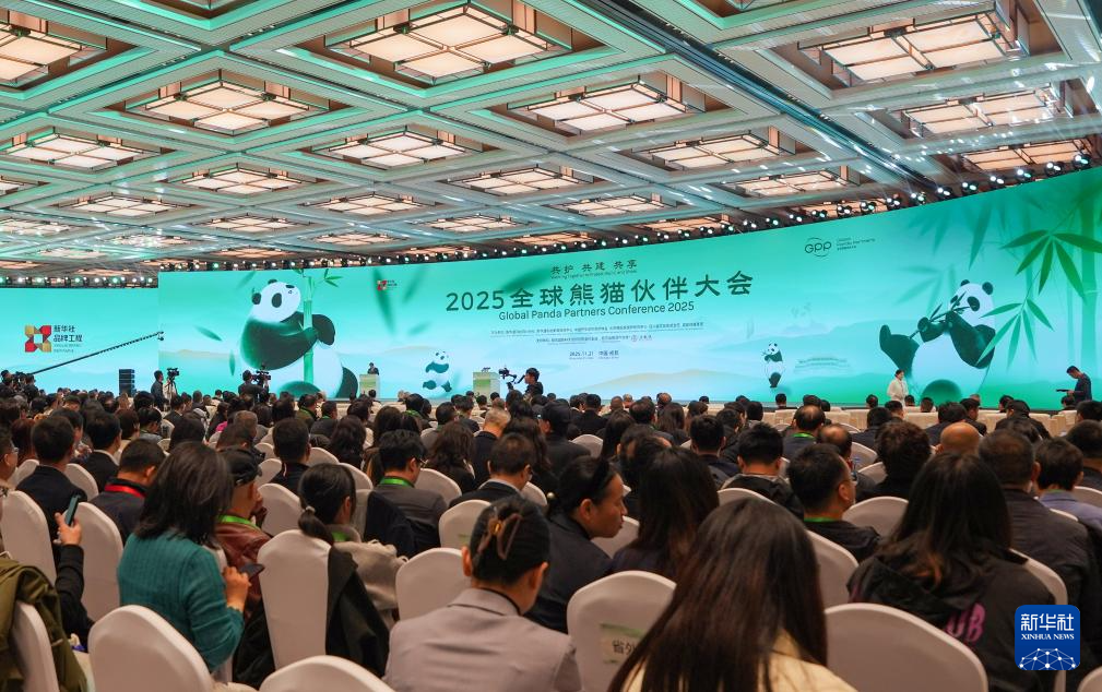 2025全球熊猫伙伴大会开幕(图2)
