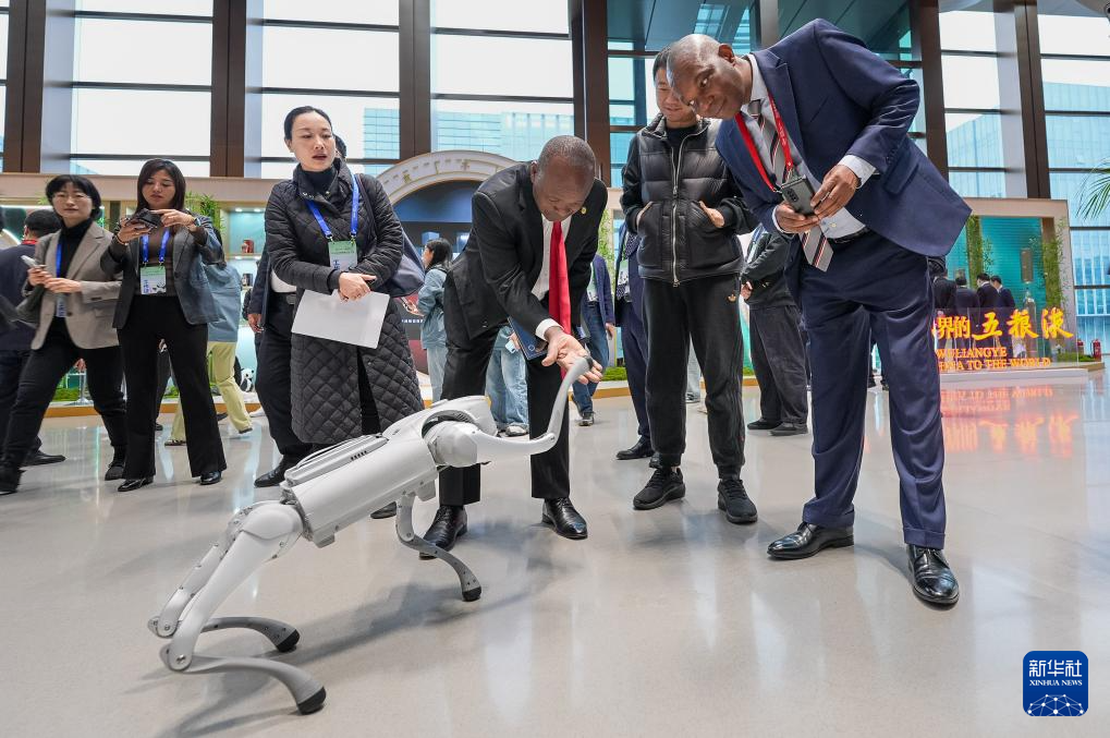 2025全球熊猫伙伴大会开幕(图7)