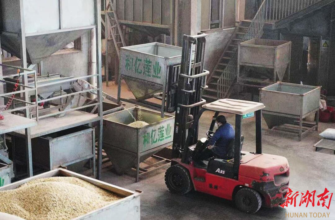 熊猫体育网站：中国建设银行湘潭市分行赋能区域经济高质量发展(图2)