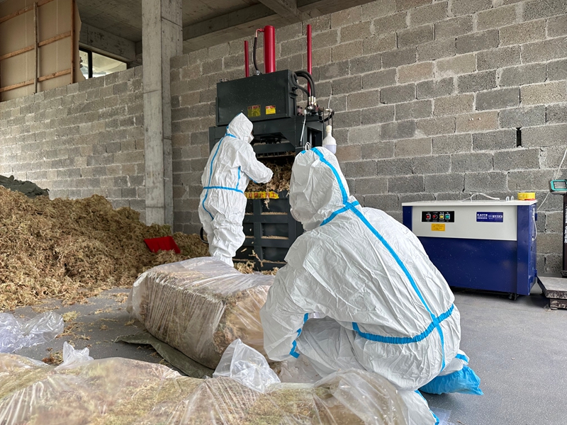 贵州平塘海花草精深加工解锁女性健康新赛道(图3)