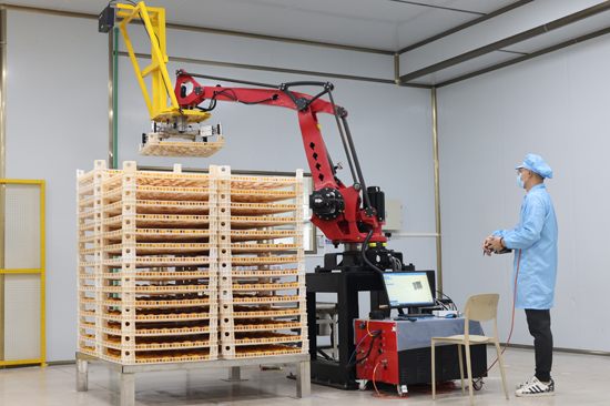 科技賦能推動平樂柿子產業高質量發展闊步前行(图3)