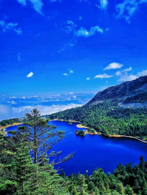 涼山全力建設全省“天府森林四庫”高質量發展先行區(图1)