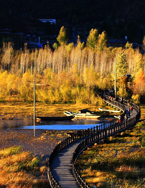 涼山全力建設全省“天府森林四庫”高質量發展先行區(图3)