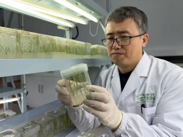 星空体育网站：2025年武汉十大企业新闻发布武汉企业攀高向新首台首套首次竞相涌现(图6)