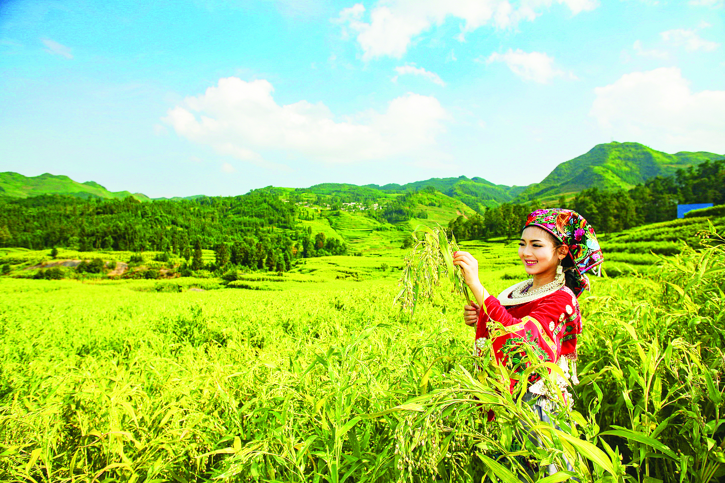 星空体育网站:惠黔力推产业集群化发展两年实施特色产业提升项目60个(图4)