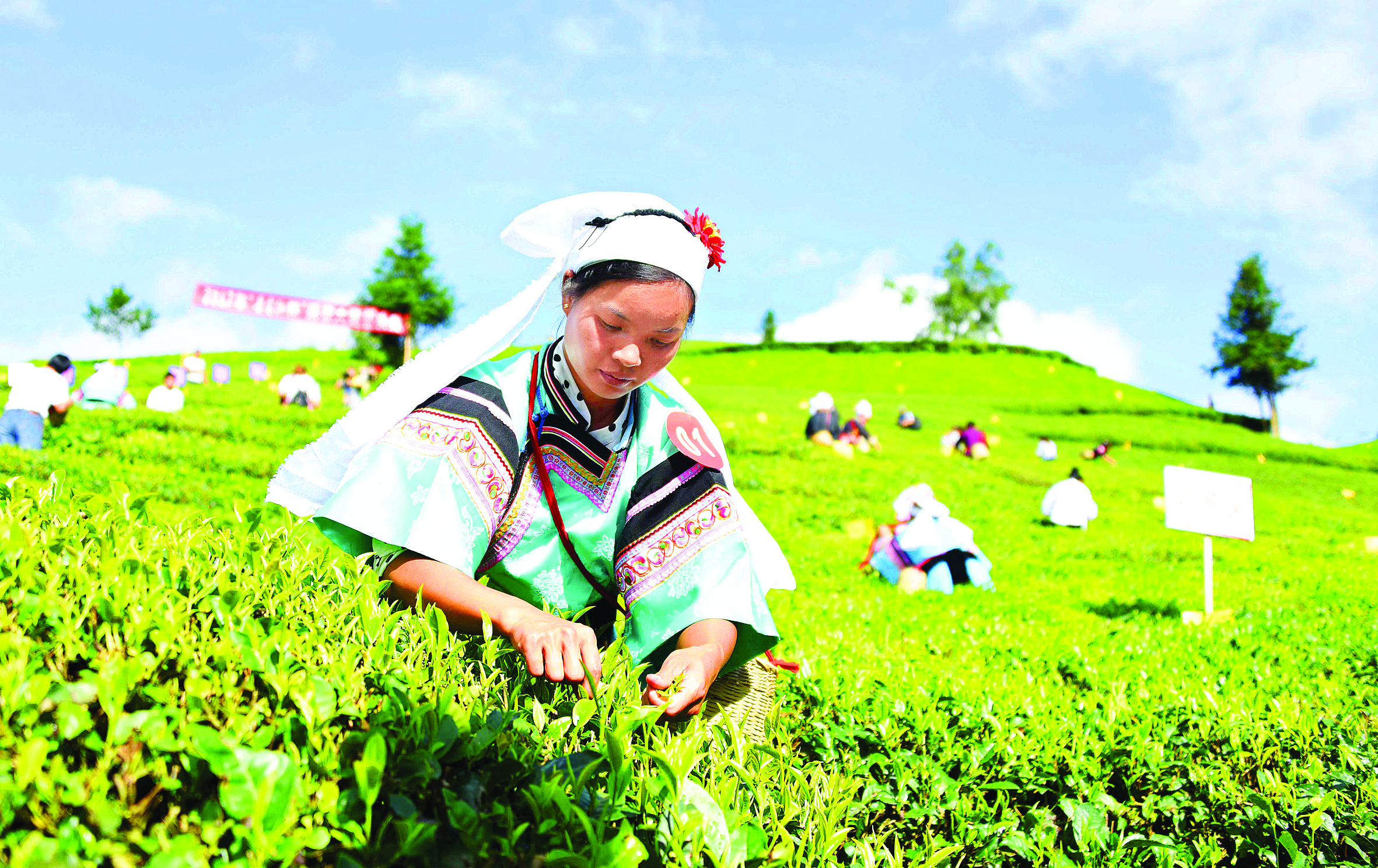 星空体育网站:惠黔力推产业集群化发展两年实施特色产业提升项目60个(图6)