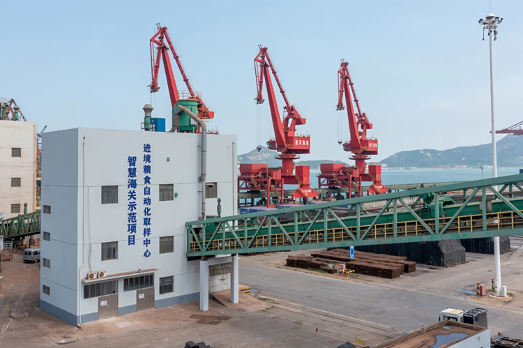 外貿五年“三級跳”連雲港為什麼能？(图2)