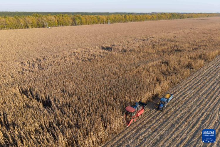 镜观中国|影像回眸“十四五”——全面深化改革扩大高水平开放(图10)
