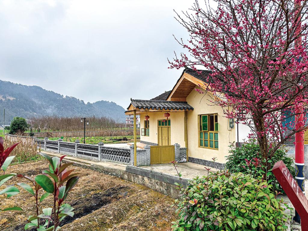 蹲点十村看乡村振兴再出发(图6)