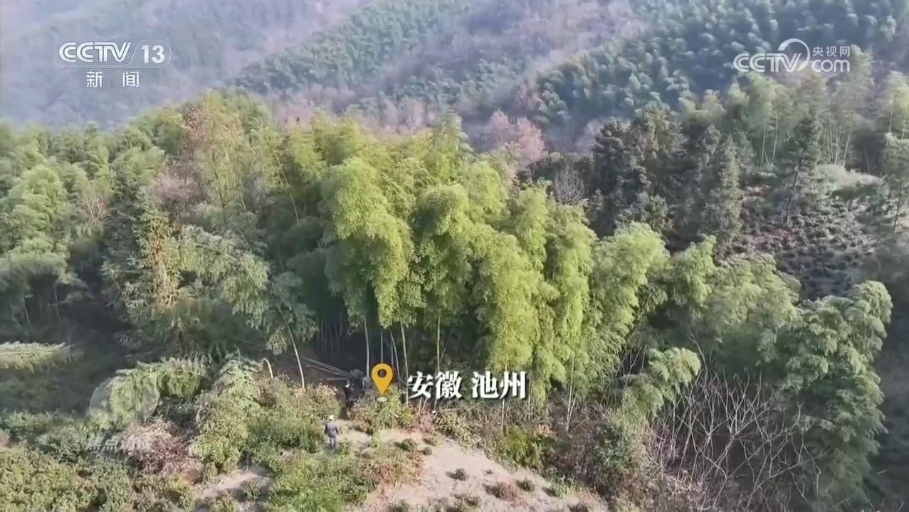 星空体育：焦点访谈｜绿色消费催生新消费、重塑新生活(图3)