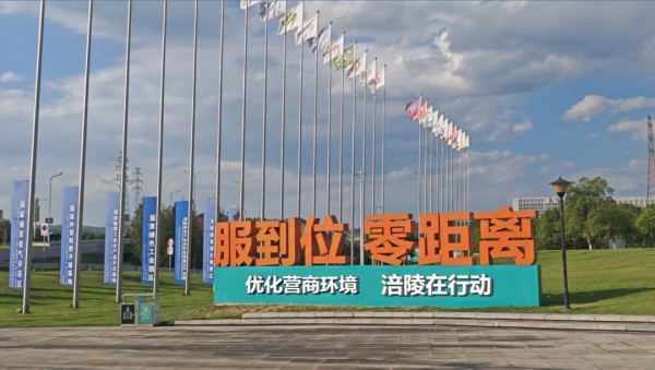 53个优质项目聚势赋能涪陵奏响高质量发展“春日乐章”(图5)