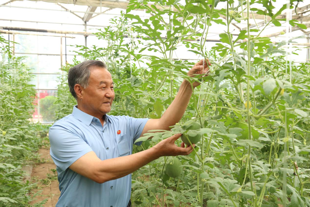 潍坊峡山：科创赋能现代农业高质量发展(图4)