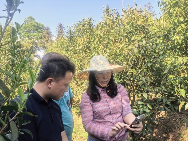 星空体育：贵州大学牛素贞团队赋能普安茶产业高质量发展(图5)